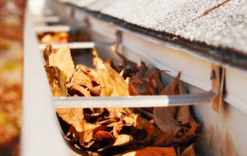 Birchwood gutter cleaning companies