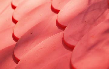 Birchwood plastic roof costs