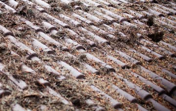 Birchwood roof cleaning companies